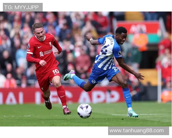 聚焦绿茵巨星璀璨瞬间全景展现足球球星独特魅力